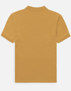 Back_3_c_43.jpg
